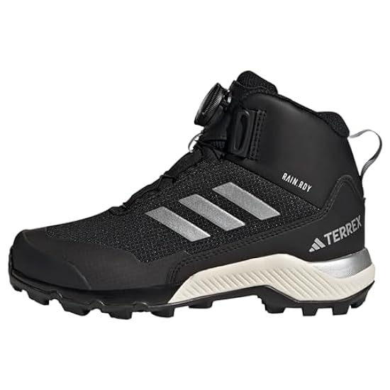 adidas Terrex Winter Mid Boa Rain.rdy Hiking, Shoes (Fo
